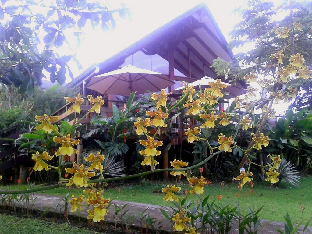 Tenorio Lodge บิฆากัว ภายนอก รูปภาพ
