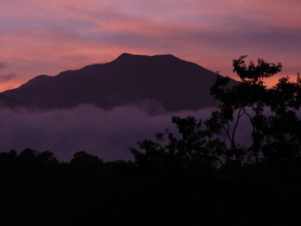 Tenorio Lodge บิฆากัว ภายนอก รูปภาพ